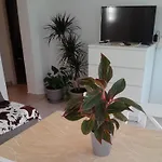Lägenhet Apartments Viganj *