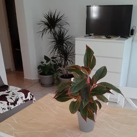 Apartment Apartments Viganj *